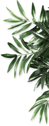leaf right